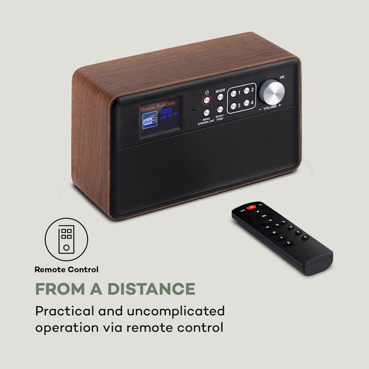 Nestor, radio DAB+/FM, 2 tryby pracy, kolorowy wyświetlacz TFT 2,4", brązowe