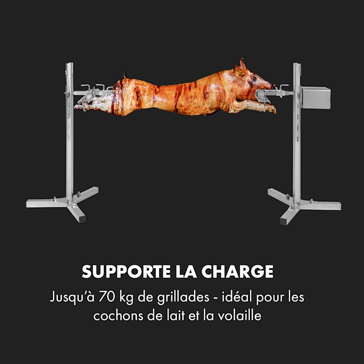 Sauenland Survivor barbecue à cochon de lait Rotisserie 12W 70kg max. acier inoxydable