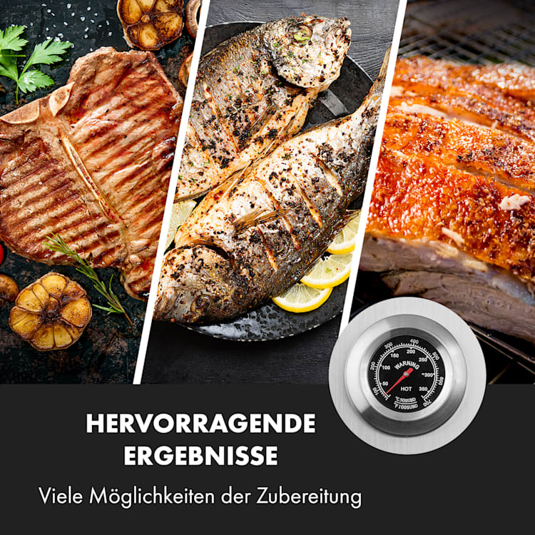Sauenland Pro XL Spanferkelgrill Drehspieß 15W 4 Rollen Edelstahl