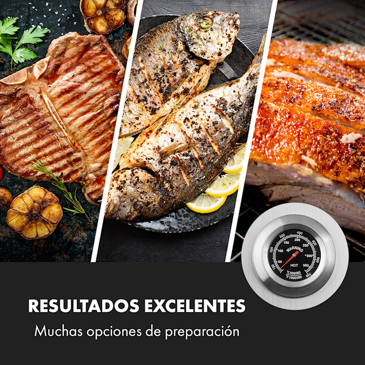 Sauenland Pro XL Asador de cochinillo espetón 15W 4 ruedas acero inoxidable