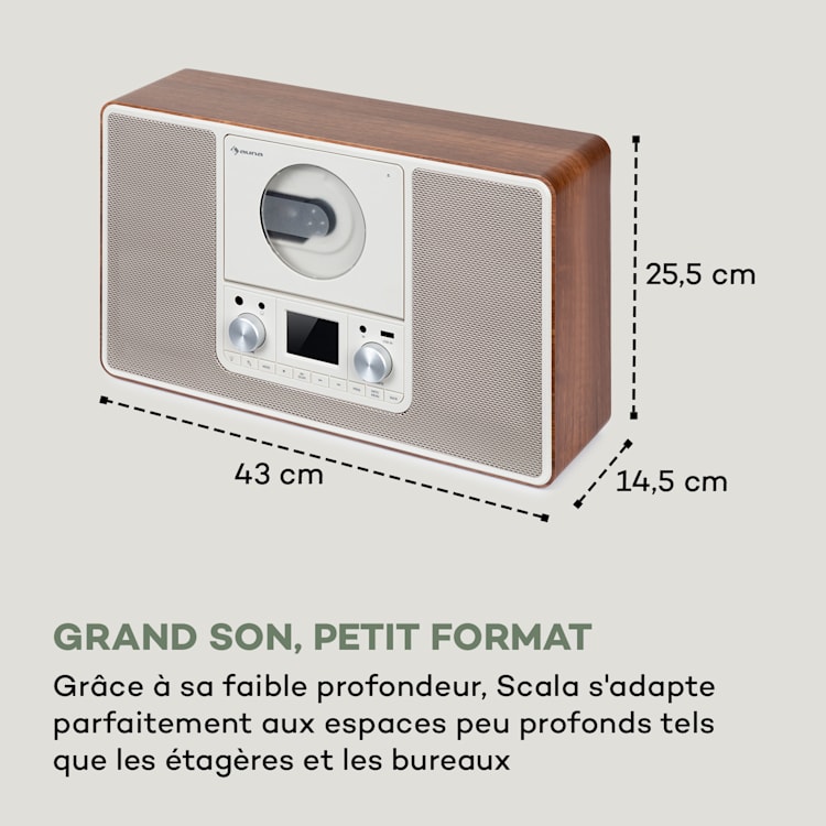 Scala VCD-IR radio Internet Wifi CD BT MP3 DAB+ FM Radio Avec Wifi | Noyer