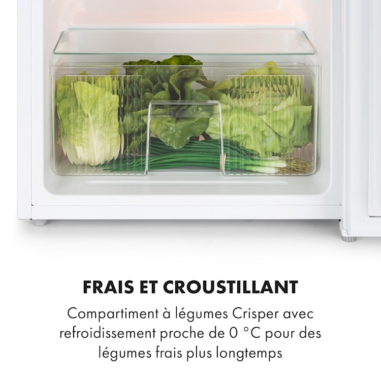 Réfrigérateur-congélateur Big Daddy Cool 87 Liter 40dB CEE F 87 L | Blanc