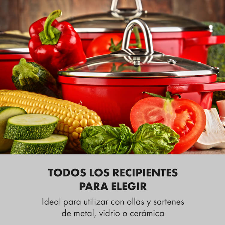 Vitrocerámica doble Cookbuddy 2400W 5 niveles de potencia Plata