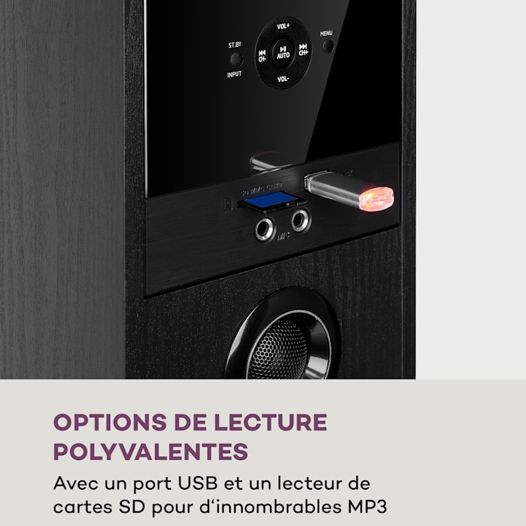 Auna Line 200A Enceintes sur pied 3 voies 2 x 80 Watt RMS Hauteur : 92 cm