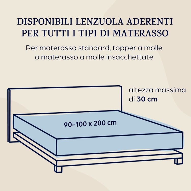 Soft Wonder-Edition, lenzuolo con angoli, 90-100 x 200 cm, microfibra Grigio Scuro