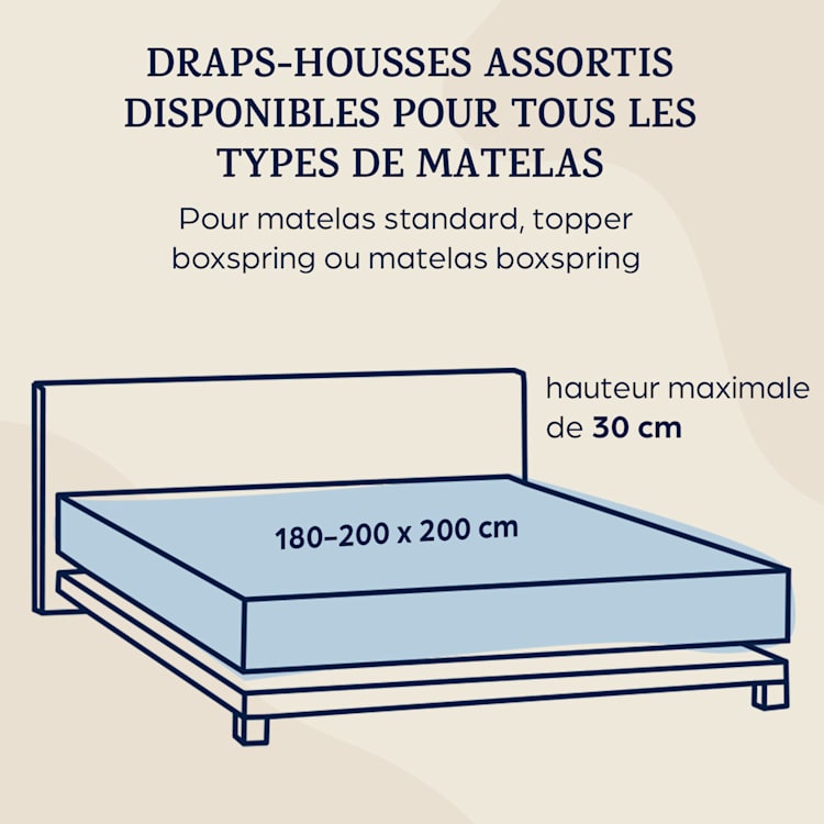Soft Wonder édition drap housse 180-200 x 200 cm Mikrofaser Fleurs Roses
