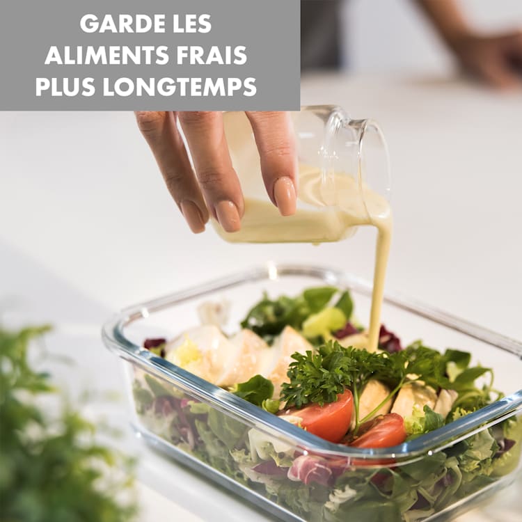 Jardine boîtes de conservation lot de 3, 1 compartiment 1040 ml verre borosilicaté couvercle