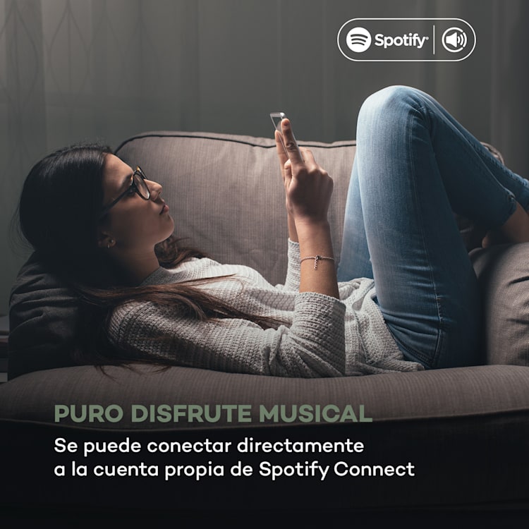 Connect 150 MKII 2.1 Radio por Internet DAB/DAB+/FM Spotify BT pantalla TFT de 2,8 pulgadas madera
