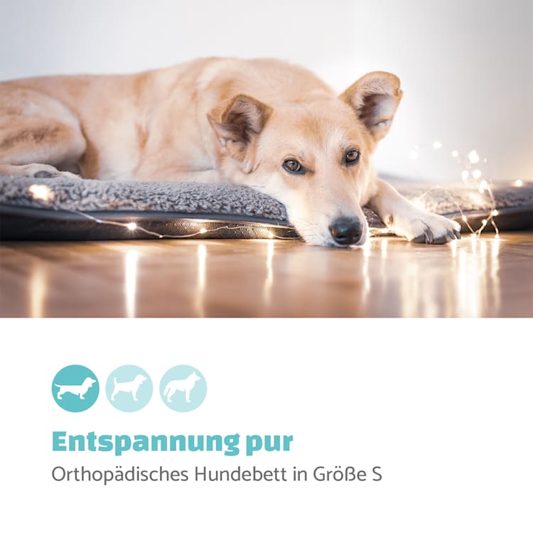 Finn Hundebett waschbar rutschfest atmungsaktiv PE / Vlies Größe S S | Beige
