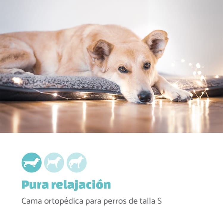 Finn Cama para perros Colchón para perros | Lavable | Antideslizante | Transpirable | Poliéster/Lana | Tamaño S (68 x 5 x 54 cm) S | Beige