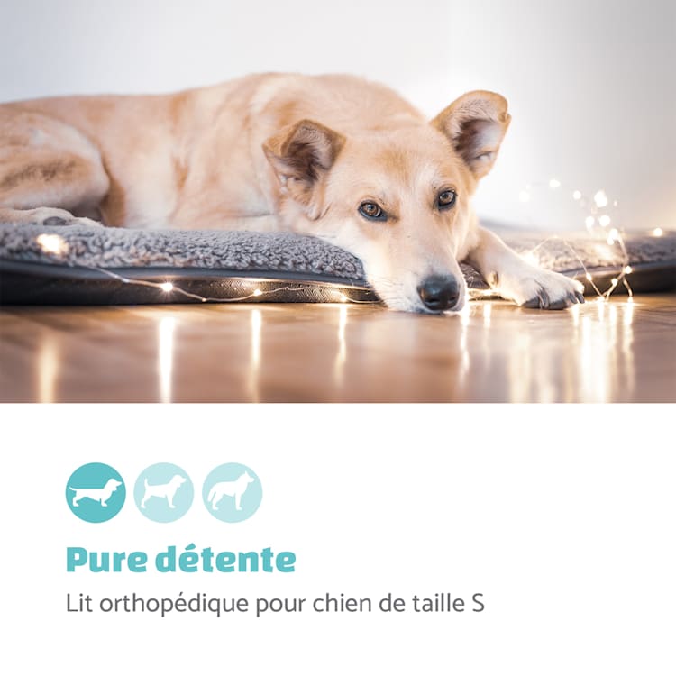 Finn lit pour chien matelas lavable antidérapant respirant polyester / polaire | taille S (68 x 5 x 54 cm) S | Beige