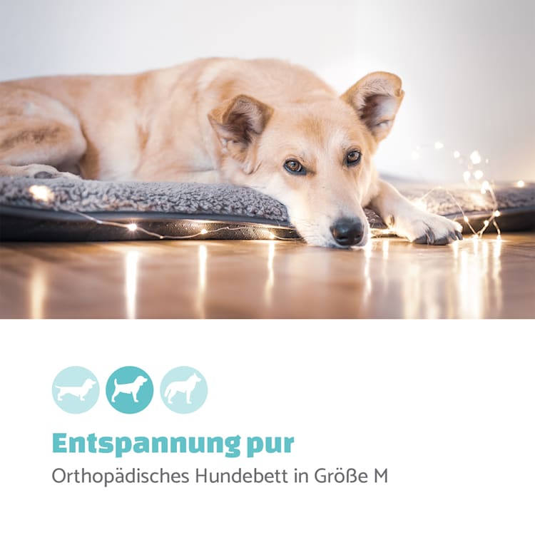 Finn lit pour chien matelas lavable antidérapant respirant polyester / polaire | taille M (100 x 5 x 70 cm)