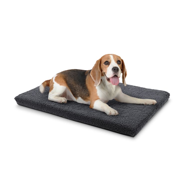 Cama & Tapete P/ Cães Nala/ Lavável /Antiderrapante/ Respirável/ Espuma Confort/ Tamanho S (80 x 5 x 60 cm) S | Cinzento Escuro