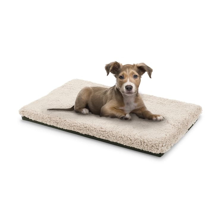 Luna lit pour chien matelas lavable orthopédique antidérapant respirant mousse à mémoire de forme taille S (60 x 5 x 40 cm) S | Beige