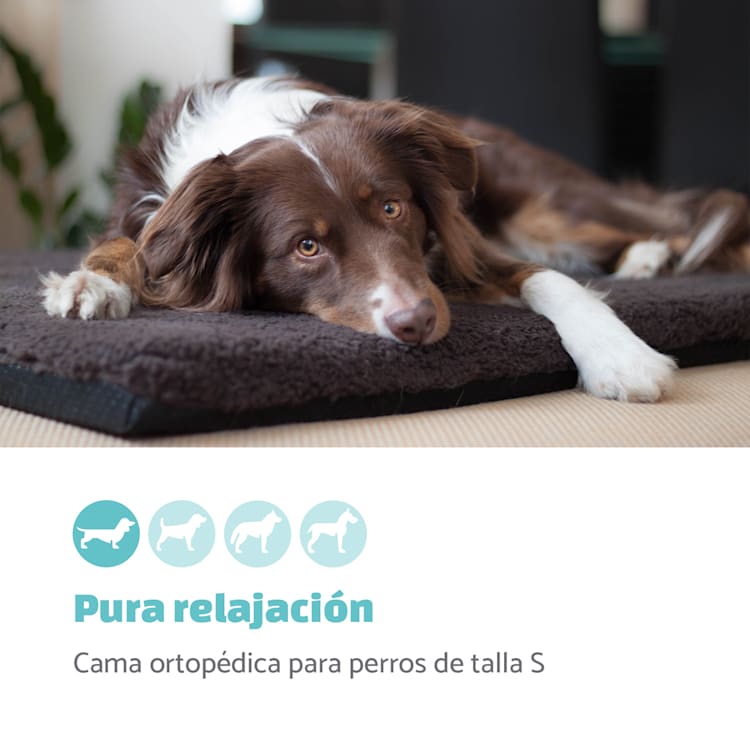 Luna Cama para perros Colchón para perros | Lavable | Ortopédico | Antideslizante | Transpirable | Espuma viscoelástica | Tamaño S (60 x 5 x 40 cm) S | Gris