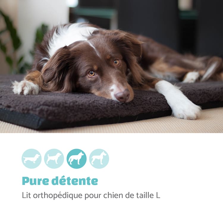 Luna lit pour chien matelas lavable orthopédique antidérapant respirant mousse à mémoire de forme taille L (100 x 5 x 70 cm) L | Marron Foncé