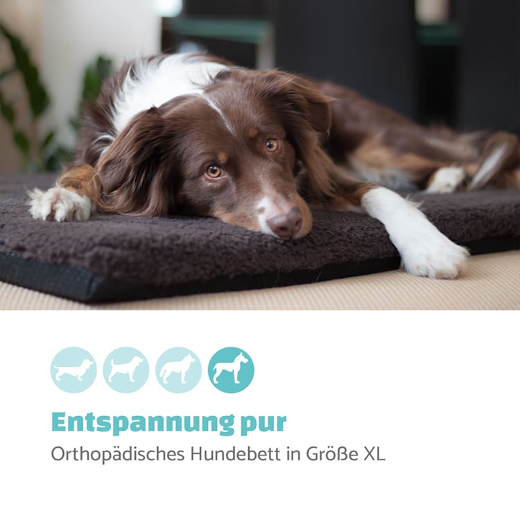 Luna Hundebett Hundematte | waschbar | orthopädisch | rutschfest | atmungsaktiv | Memory-Schaum | Größe XL (120 x 5 x 85 cm) XL | Dunkelgrau