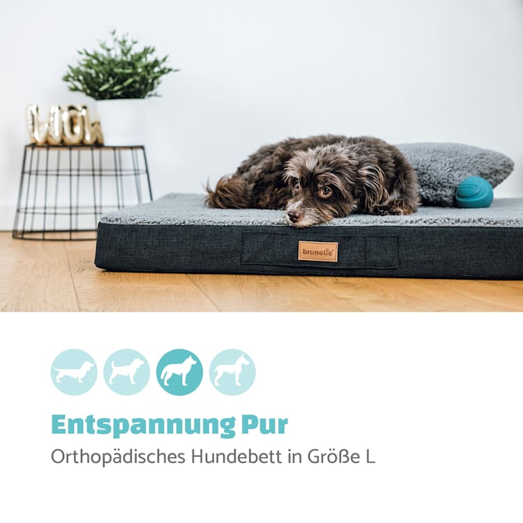 Balu Hundebett waschbar orthopädisch rutschfest Memory-Schaum Größe L L | Dunkelbraun