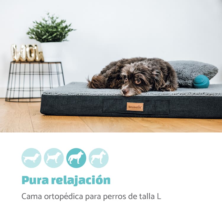 Cojín para perro Balu | lavable | ortopédico | antideslizante | espuma de memoria transpirable | tamaño L (100 x 10 x 65 cm) L | Marrón Oscuro