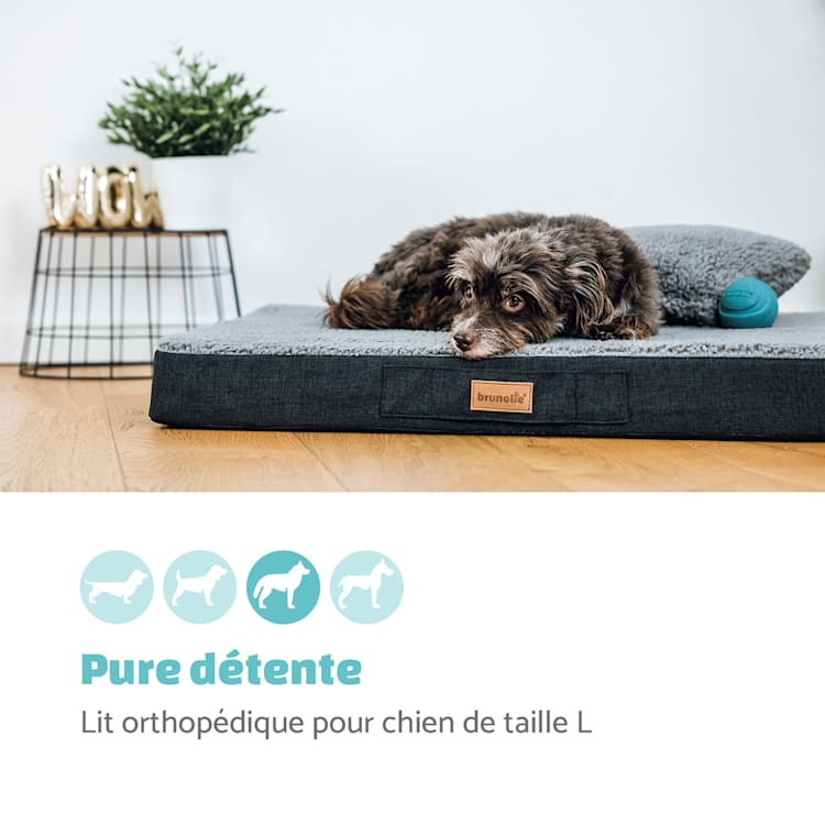 Balu hondenbed hondenkussen | wasbaar | orthopedisch | anti-slip | ademend traagschuim | maat L (100 x 10 x 65 cm) L | Donkerbruin