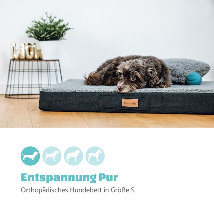 Balu Hundebett Hundekissen | waschbar | orthopädisch | rutschfest | atmungsaktiver Memory-Schaum | Größe S (72 x 8 x 50 cm) S | Dunkelgrau