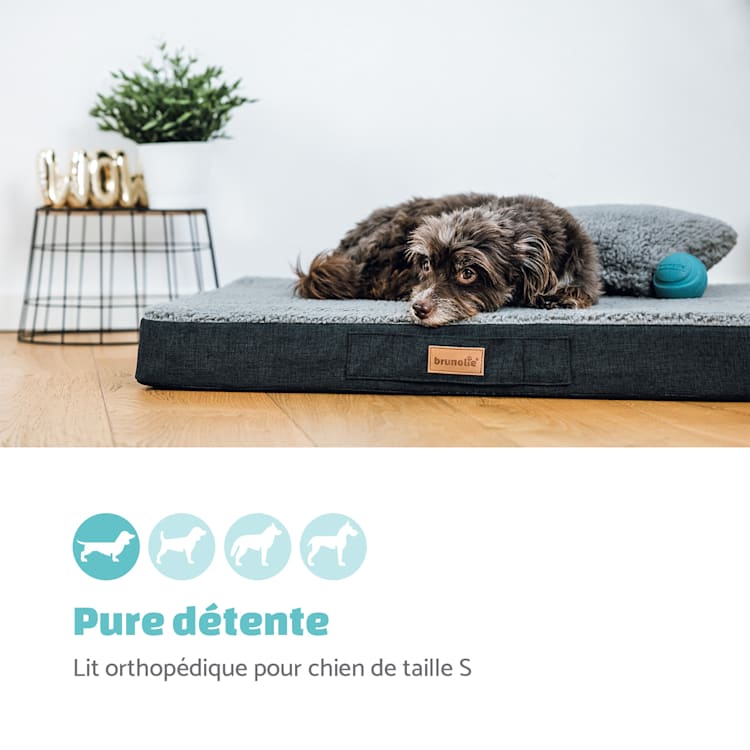 Balu coussin pour chien lavable orthopédique antidérapant mousse à mémoire respirante Taille S (72 x 8 x 50 cm) S | Gris Foncé
