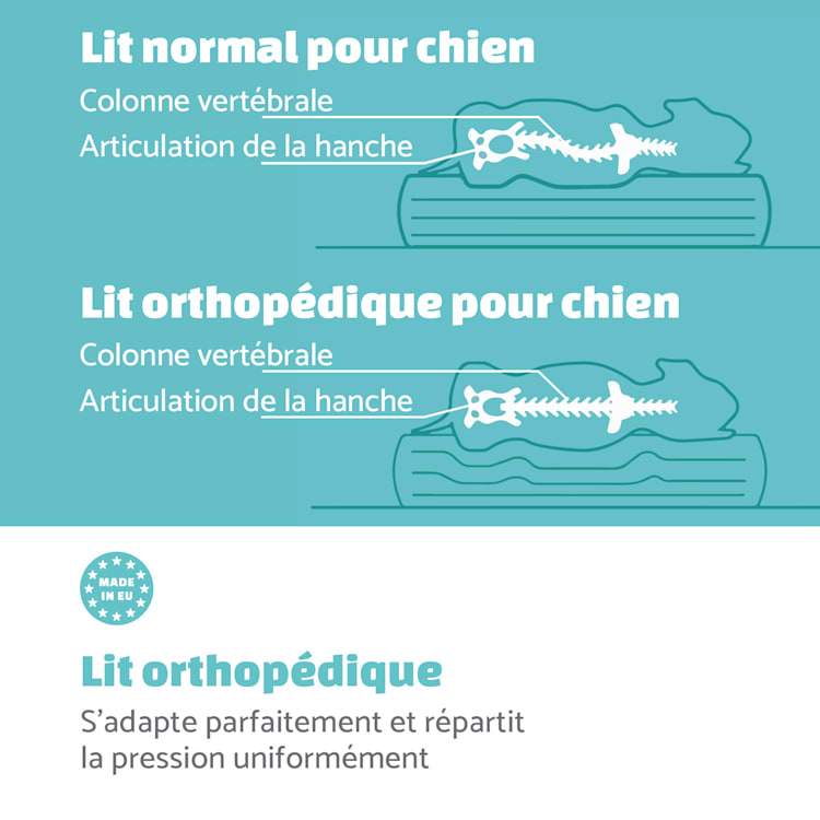 Balu coussin pour chien lavable orthopédique antidérapant mousse à mémoire respirante Taille S (72 x 8 x 50 cm) S | Gris Foncé