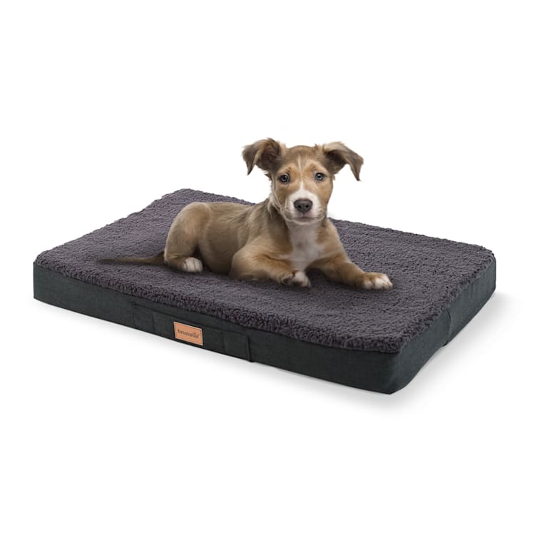 Balu coussin pour chien lavable orthopédique antidérapant mousse à mémoire respirante Taille S (72 x 8 x 50 cm) S | Gris Foncé