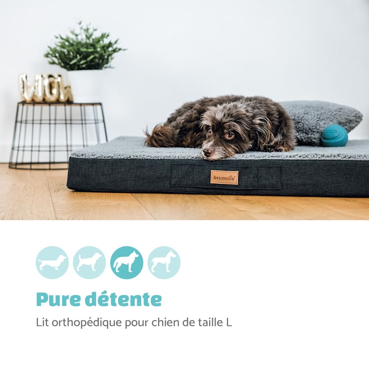 Balu coussin pour chien lavable orthopédique antidérapant mousse à mémoire respirante Taille L (100 x 10 x 65 cm) L | Gris