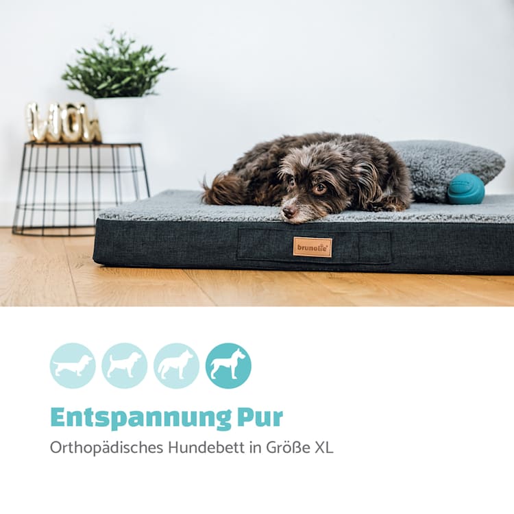 Balu Hundebett Hundekissen | waschbar | orthopädisch | rutschfest | atmungsaktiver Memory-Schaum | Größe XL (120 x 10 x 72 cm) XL | Grau