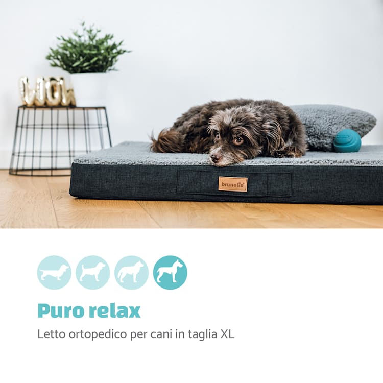 Balu, Lettino per Cani, Cuscino per Cani | Lavabile | Ortopedico | Antiscivolo | Memory Foam Traspirante | Taglia XL (120x10x72 cm) XL | Grigio