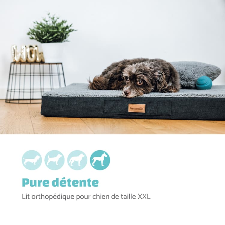 Balu coussin pour lit de chien lavable orthopédique antidérapant mousse à mémoire de forme respirante Taille XXL (120 x 10 x 100 cm) XXL | Gris