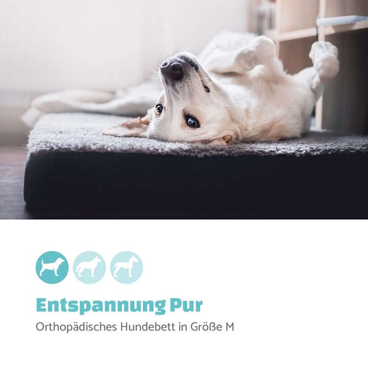 Lit matelas pour chien lavable orthopédique antidérapant respirant mousse à mémoire de forme pliante taille M (80 x 8 x 55 cm) M | Anthracite