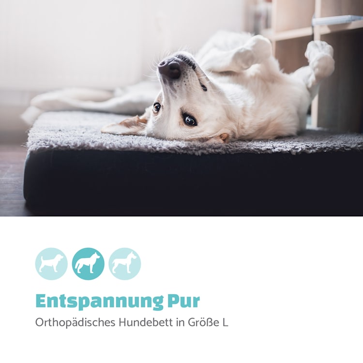 Hundebett Hundematte | waschbar | orthopädisch | rutschfest | atmungsaktiv | klappbar Memory-Schaum | Größe L (100 x 10 x 70 cm) L | Dunkelgrau