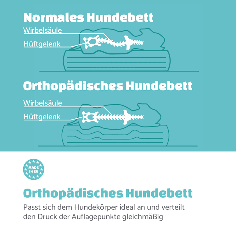 Hundebett Hundematte | waschbar | orthopädisch | rutschfest | atmungsaktiv | klappbar Memory-Schaum | Größe L (100 x 10 x 70 cm) L | Dunkelgrau