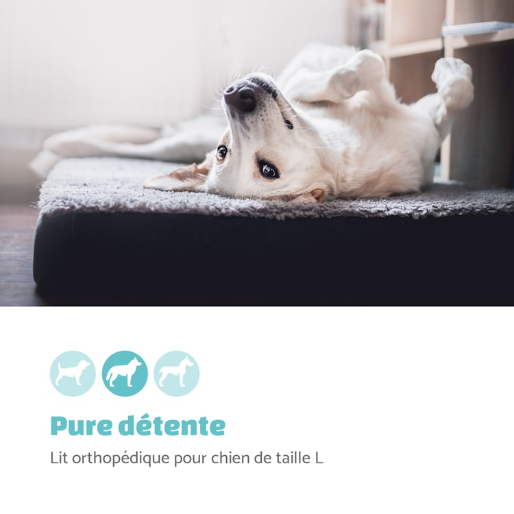 lit pour chien tapis lavable orthopédique antidérapant respirant pliant mousse à mémoire de forme pliante taille L (100 x 10 x 70 cm) L | Gris Foncé
