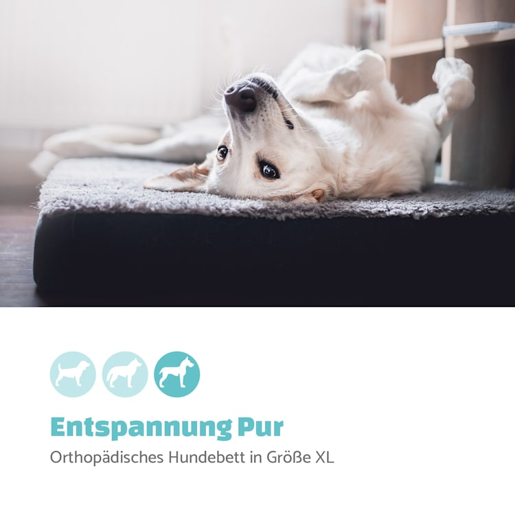 Hundebett Hundematte | waschbar | orthopädisch | rutschfest | atmungsaktiv | klappbar Memory-Schaum | Größe XL (120 x 10 x 85 cm) XL | Dunkelgrau