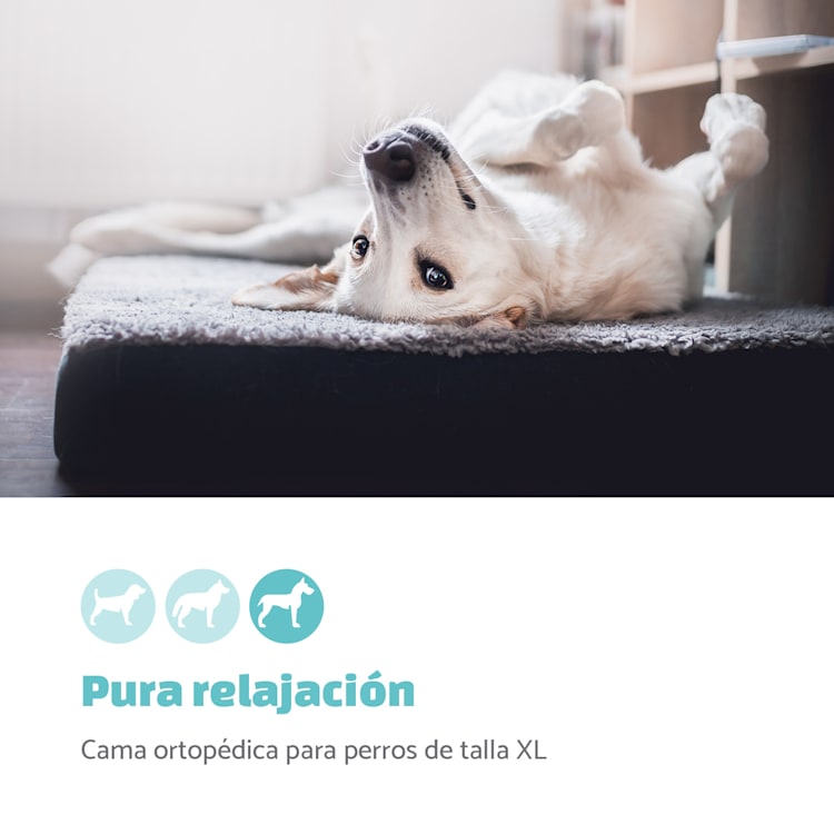 Paco Cama para perros Colchón para perros | Lavable | Ortopédico | Antideslizante | Transpirable | Espuma viscoelástica plegable | Tamaño XL (120 x 10 x 85 cm) XL | Gris Marengo