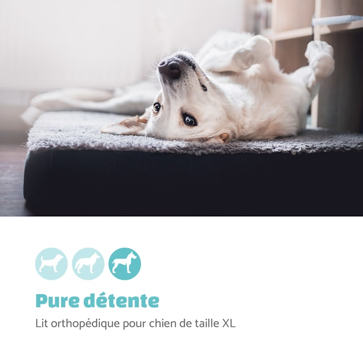 lit pour chien tapis lavable orthopédique antidérapant respirant pliant mousse à mémoire de forme pliante taille XL (120 x 10 x 85 cm) XL | Gris Foncé