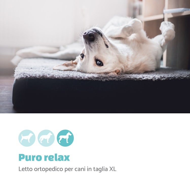 Lettino per Cani, Materassino per Cani | Lavabile | Ortopedico | Antiscivolo | Traspirante | Memory Foam Pieghevole | Taglia XL (120x10x85 cm) XL | Grigio Scuro