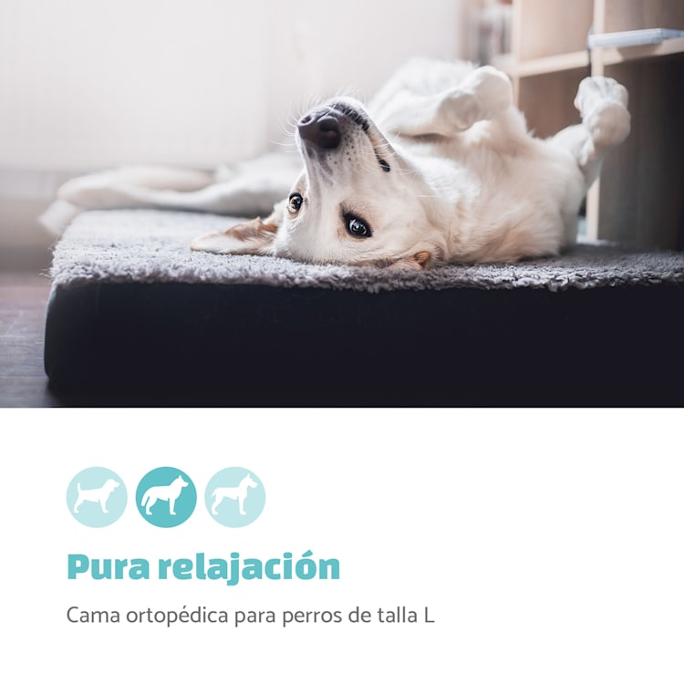 Paco Cama para perros Colchón para perros | Lavable | Ortopédico | Antideslizante | Transpirable | Espuma viscoelástica plegable | Tamaño L (100 x 10 x 70 cm) L | Marrón Oscuro