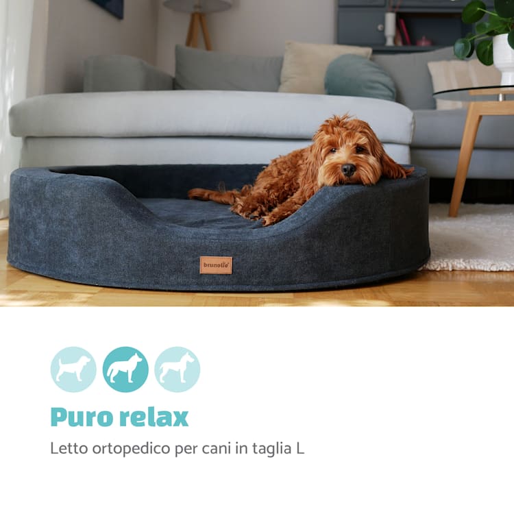 Lotte, lettino e cuscino per cani, lavabile, ortopedico, antiscivolo, memory foam traspirante, taglia L (100 x 20 x 80 cm) L | Beige