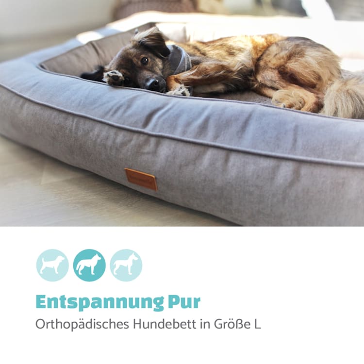 Bruno Hundebett Hundekorb | waschbar | orthopädisch | rutschfest | atmungsaktiv | Memory-Schaum | Größe L (100 x 17 x 70 cm) L | Grau