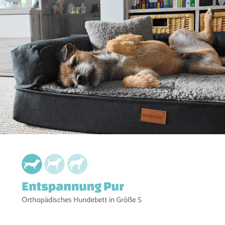 Odin lit pour chien matelas lavable orthopédique antidérapant respirant mousse à mémoire de forme taille S (80 x 10 x 60 cm) S | Brun Terre
