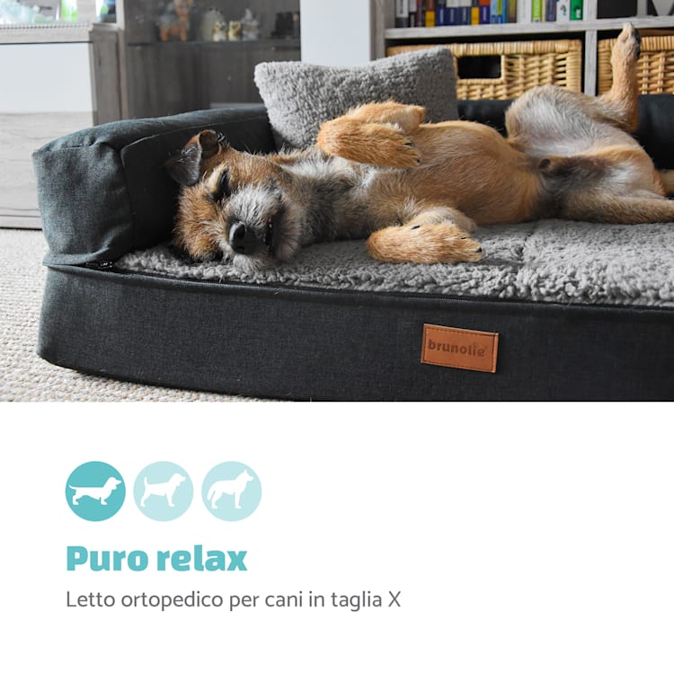 Odin, Lettino per Cani, Materassino per Cani | Lavabile | Ortopedico | Antiscivolo | Traspirante | Memory Foam | Taglia S (80x10x60 cm) S | Terra Marrone