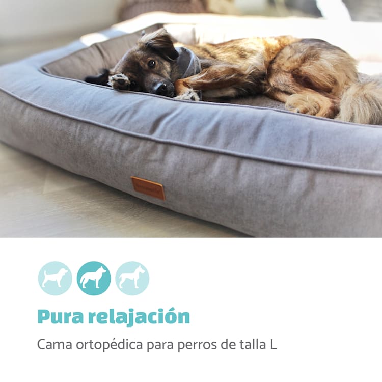 Bruno Cama para perros Cesta para perros | Lavable | Ortopédica | Antideslizante | Transpirable | Espuma viscoelástica | Tamaño L (100 x 17 x 70 cm) L | Beige