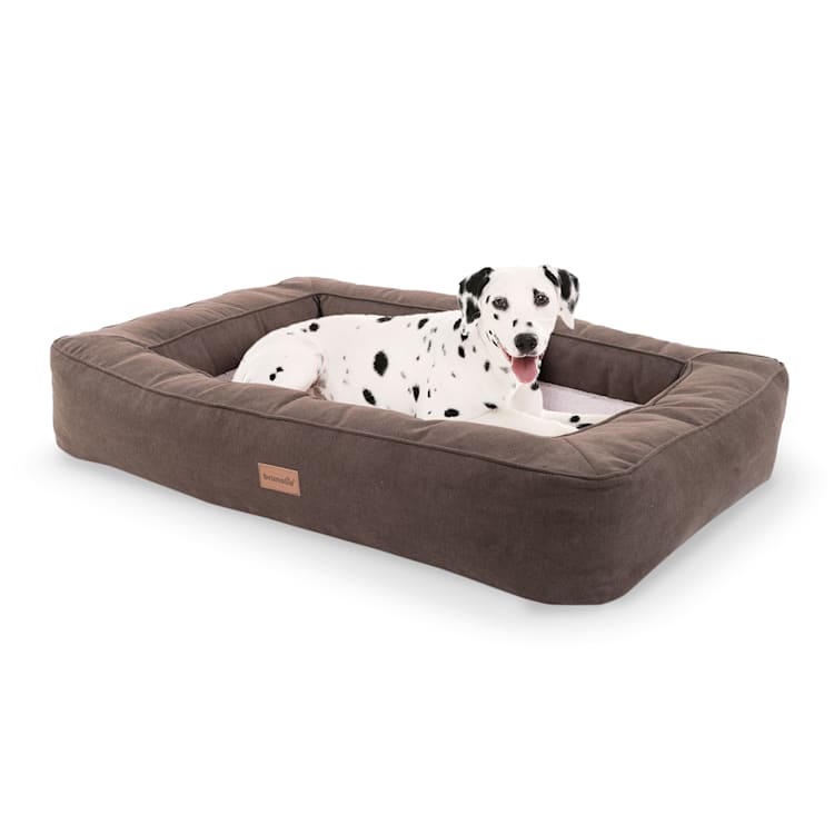 Bruno Hundebett Hundekorb | waschbar | orthopädisch | rutschfest | atmungsaktiv | Memory-Schaum | Größe L (100 x 17 x 70 cm) L | Beige