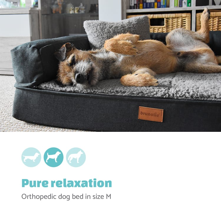 Odin hondenbed hondenkussen | wasbaar | orthopedisch | anti-slip | ademend | traagschuim | maat M (100 x 12 x 80 cm)