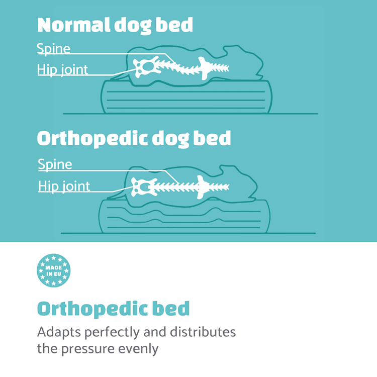 Odin hondenbed hondenkussen | wasbaar | orthopedisch | anti-slip | ademend | traagschuim | maat M (100 x 12 x 80 cm)