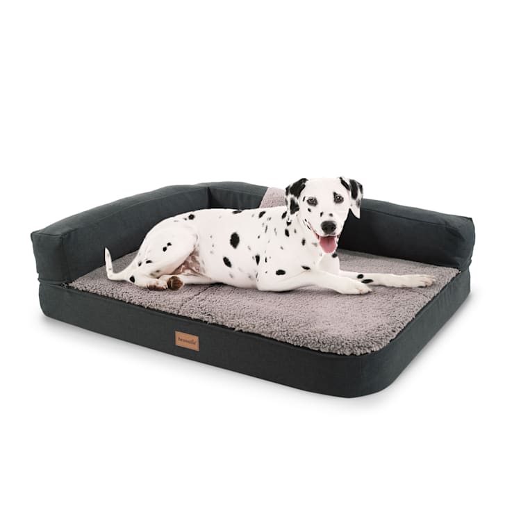Odin hondenbed hondenkussen | wasbaar | orthopedisch | anti-slip | ademend | traagschuim | maat M (100 x 12 x 80 cm)